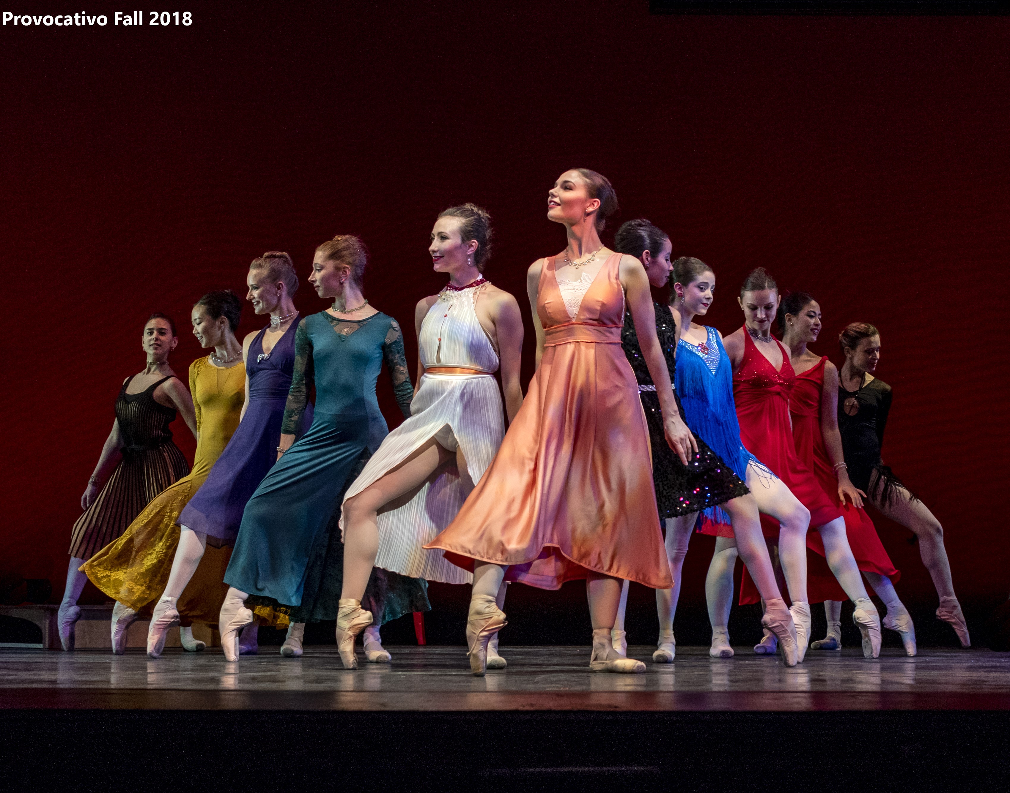 Donate Now Friends of Cleveland Ballet by Cleveland Ballet