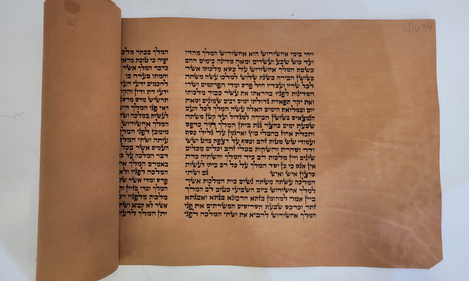 Purim Megillah Raffle 5783 background image