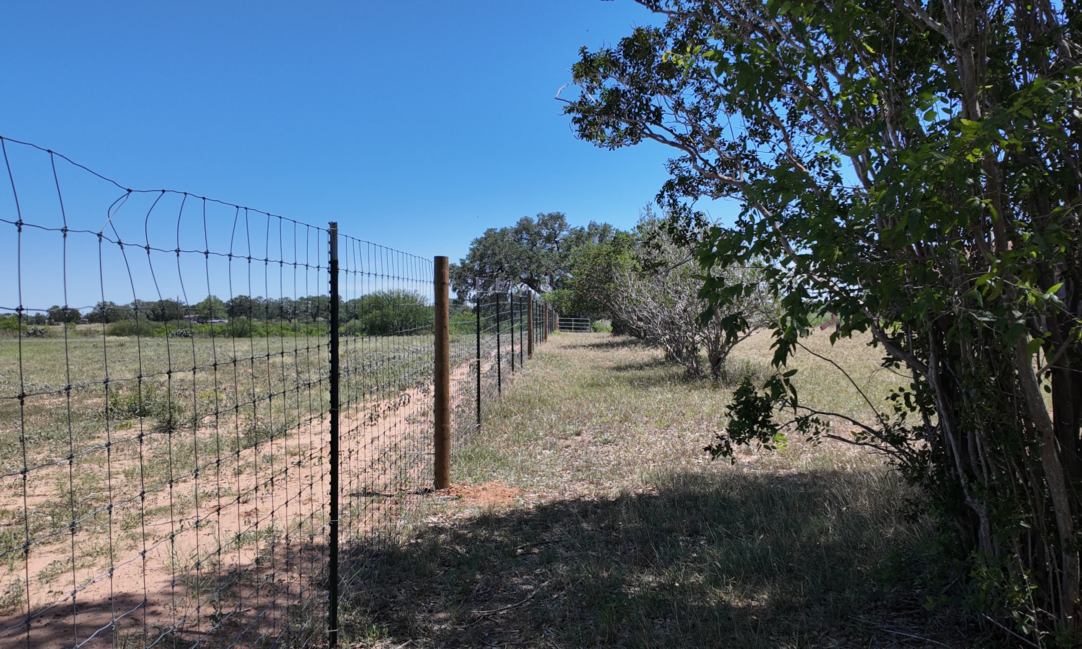 Open House Ranch Day: Summer 2025 background image