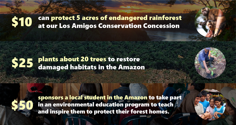 Amazon Conservation This Study Will Inspire You - rdlufuo
