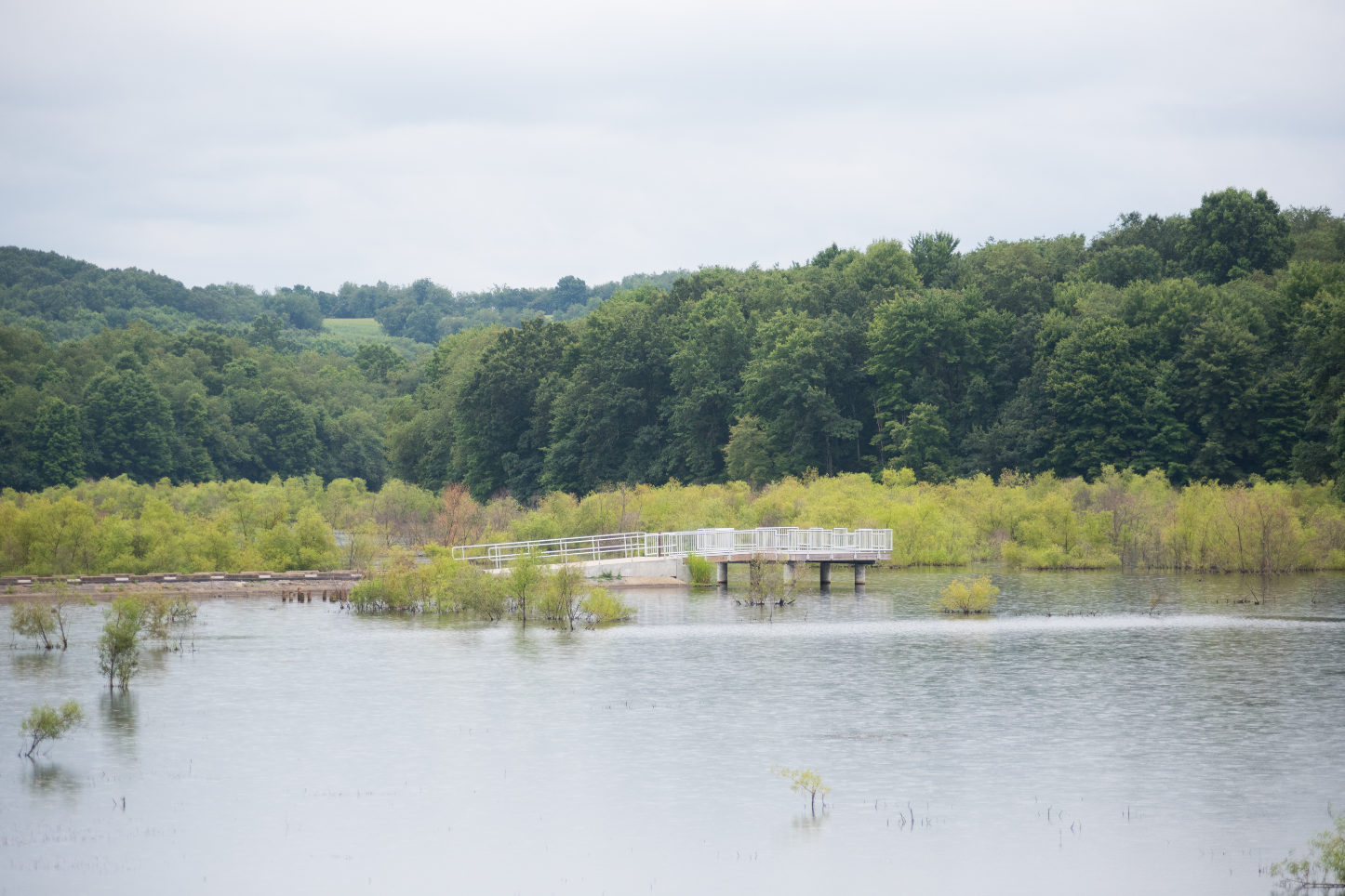 Donate Now Glade Run Lake Conservancy