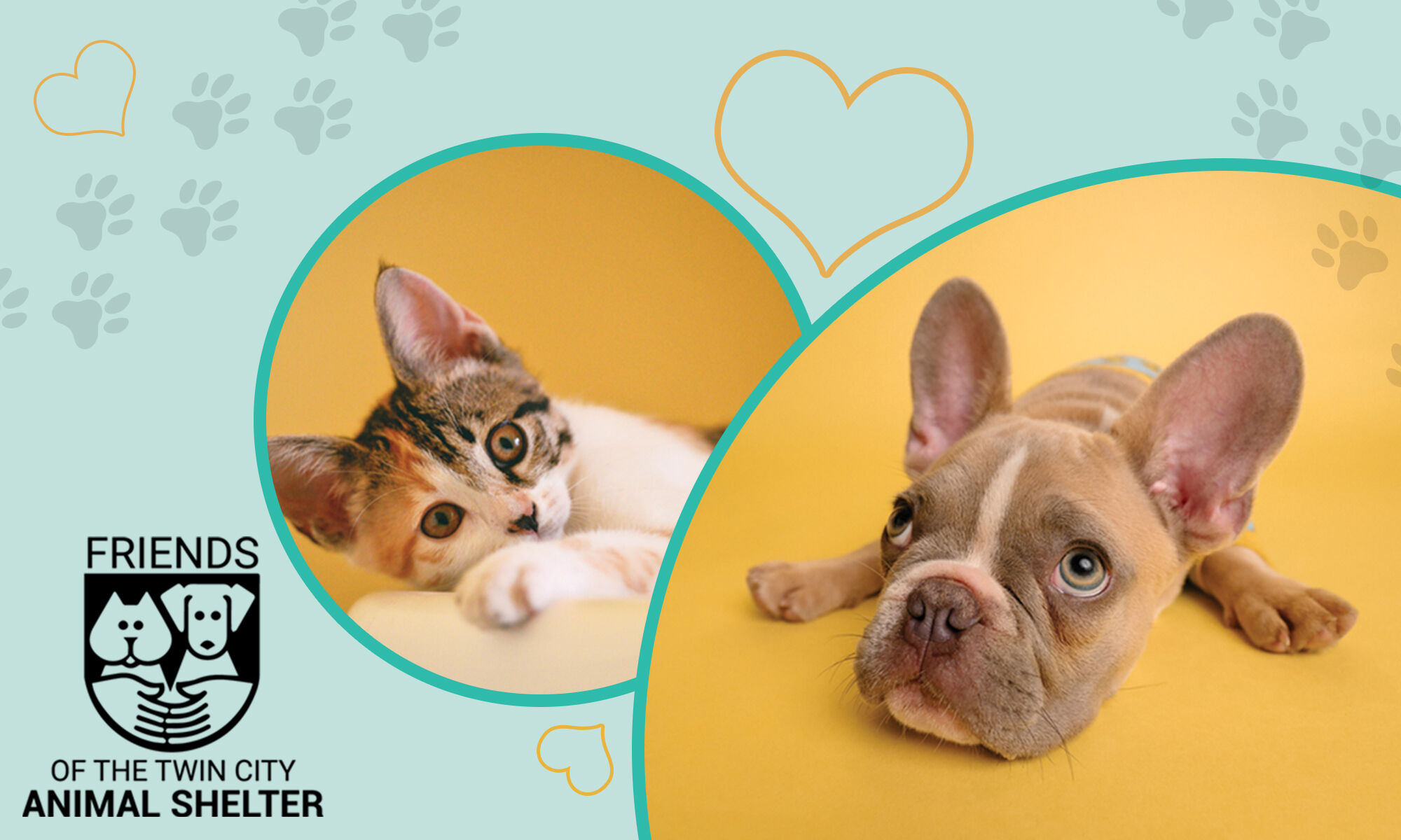Donate Now FRIENDS OF TWIN CITY ANIMAL SHELTER