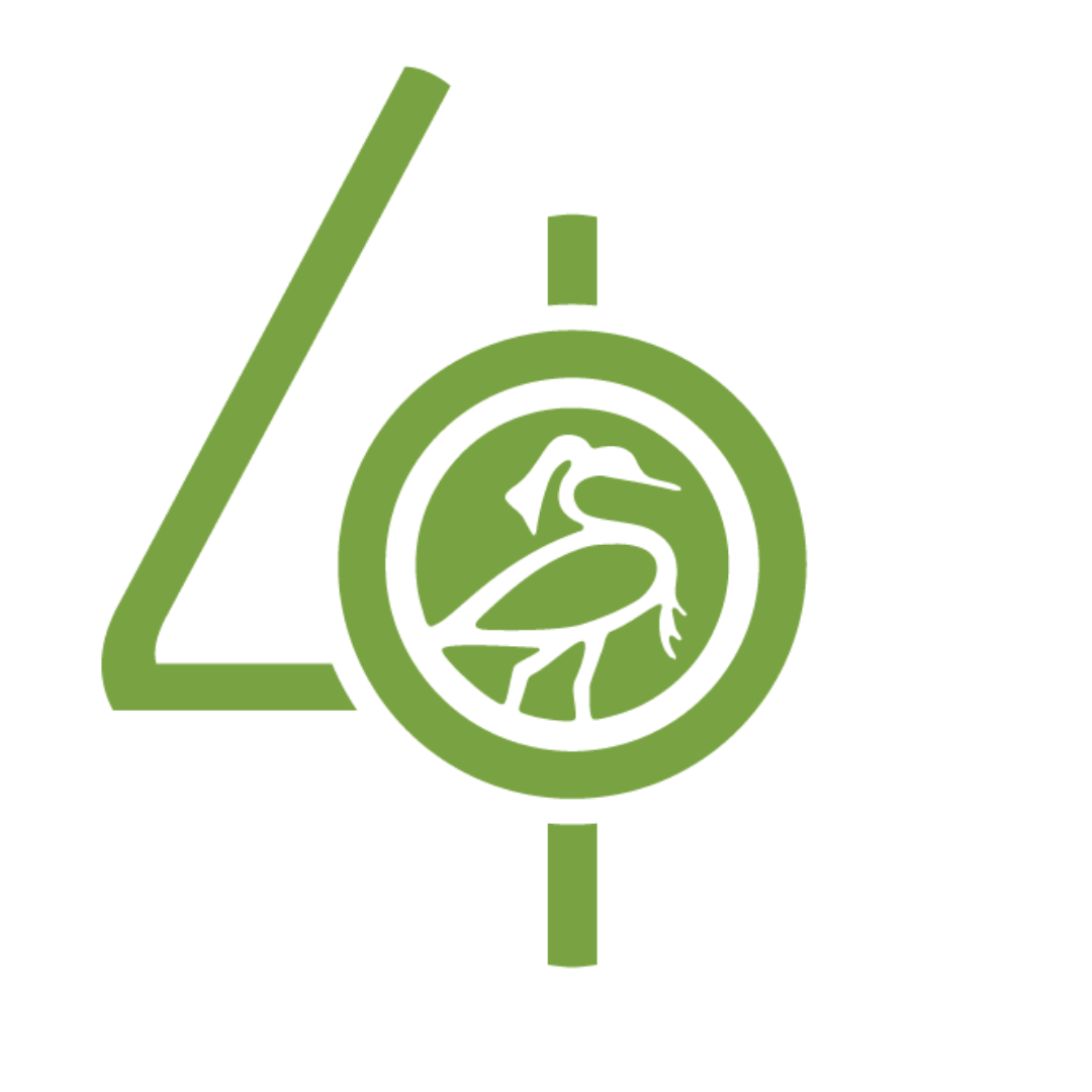 The Phoenix School, Inc. logo