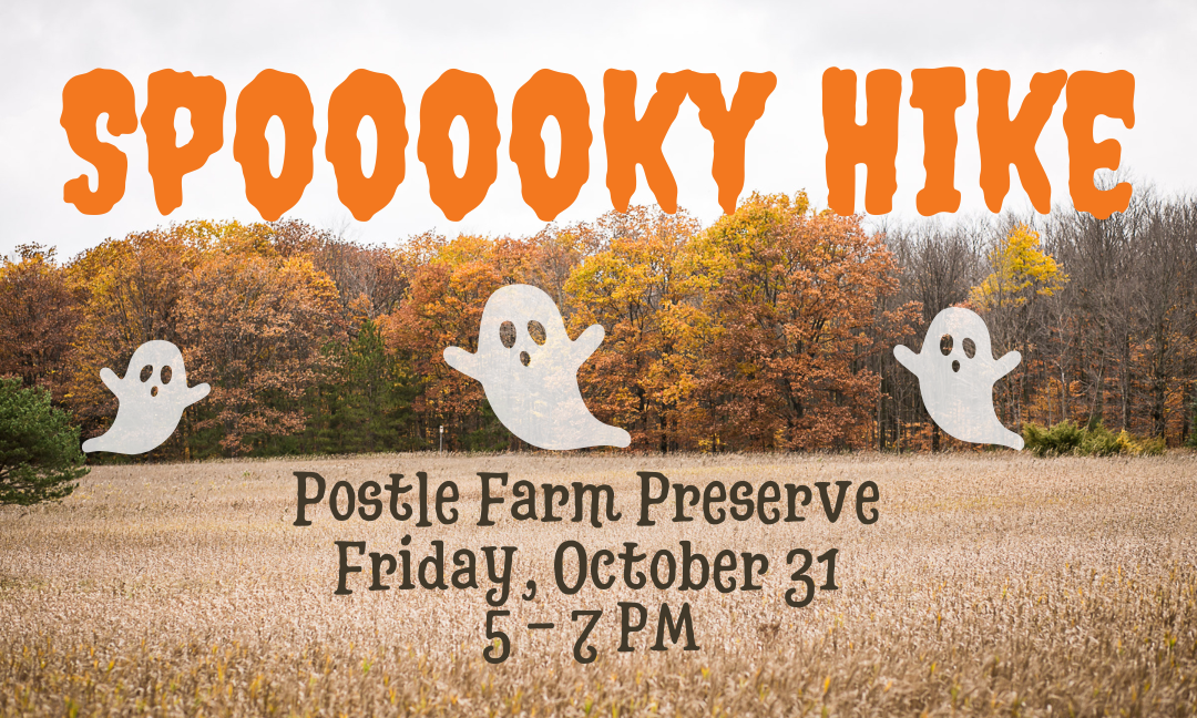 2025 Spooky Hike background image