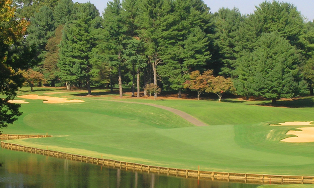 Clemmons Food Pantry 13th Annual "Drive Away Hunger" Golf Tournament background image