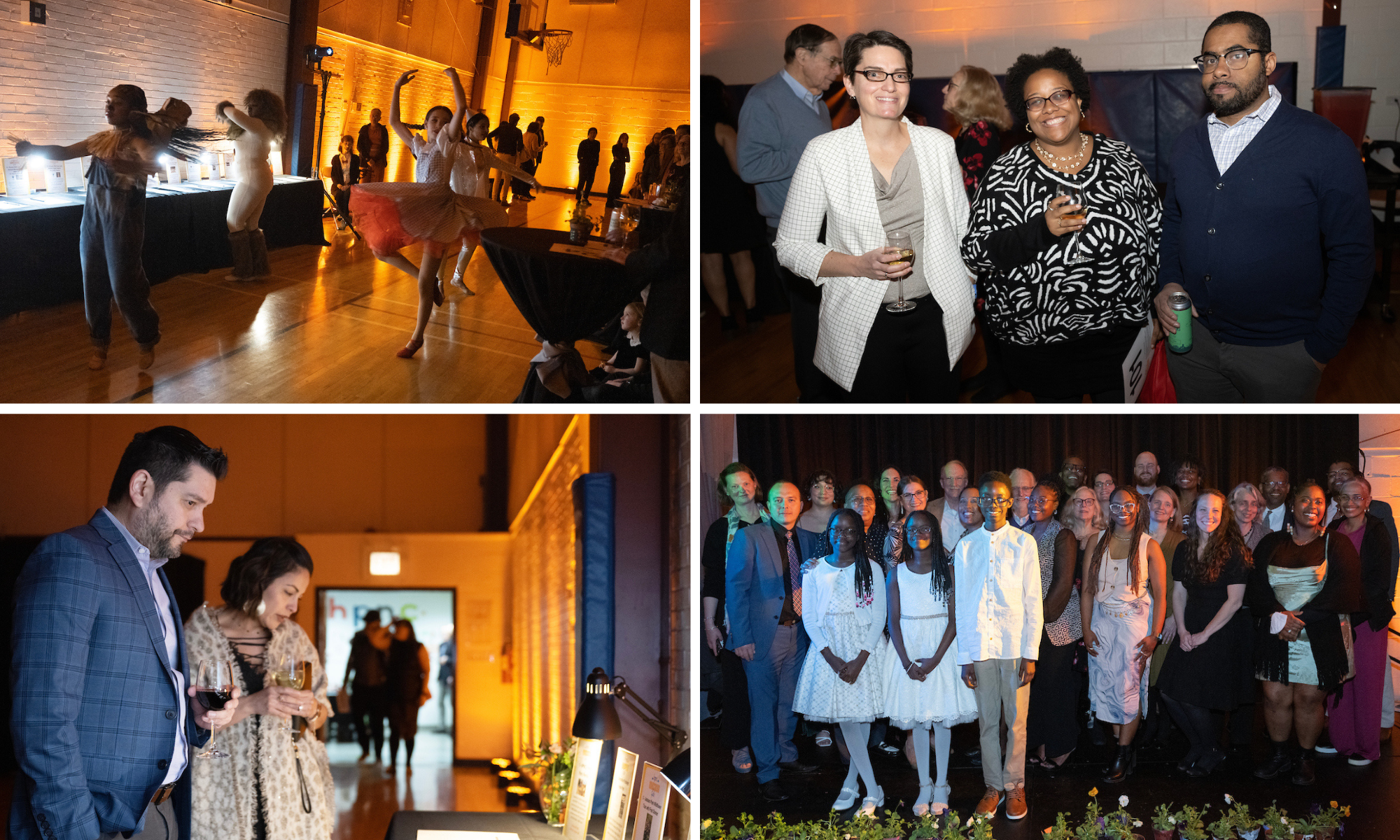 2024 HPNC Gala - Sold Out! background image