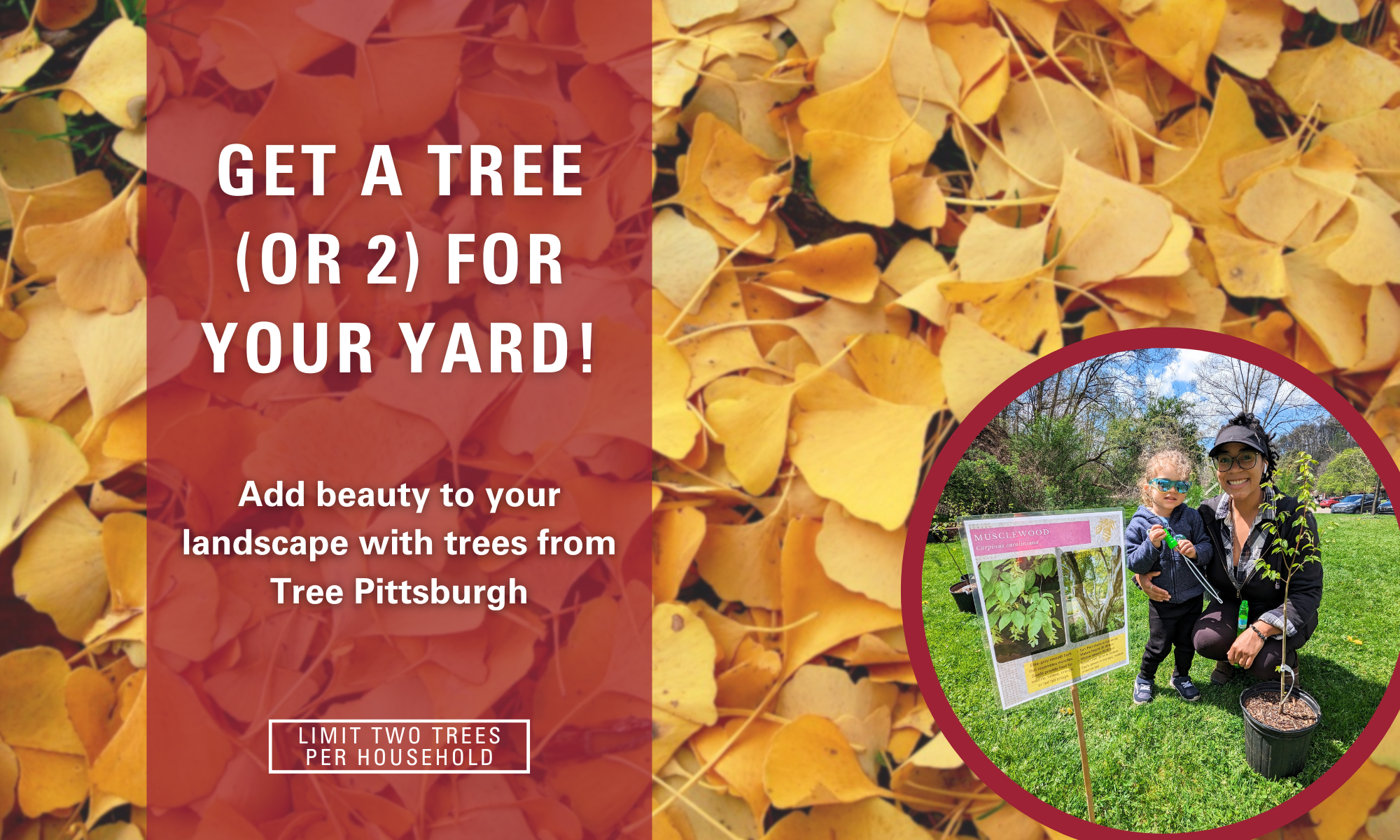 Tree Adoption: Tree Pittsburgh's Campus Fall 2024 background image