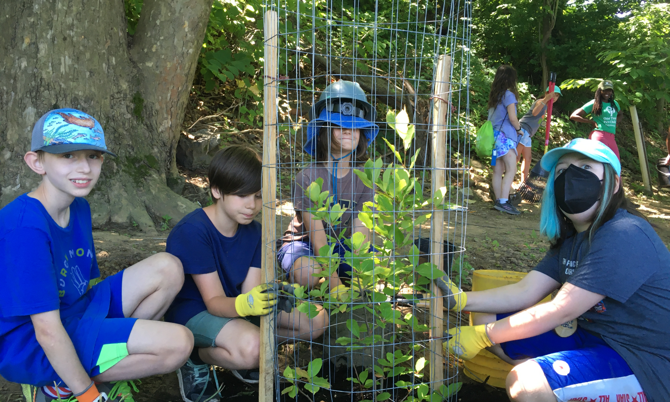 STEAM Outside Camp @ Tree Pittsburgh 2023: Week 2 background image