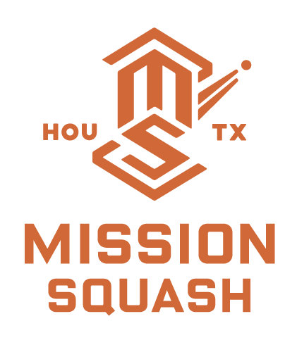 Mission Success logo