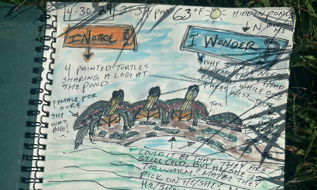 Winter Nature Journaling - 5 Week Course  background image