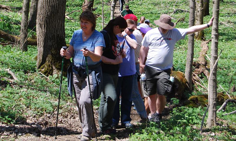 Spring Wildflower Walk Delshire Preserve background image