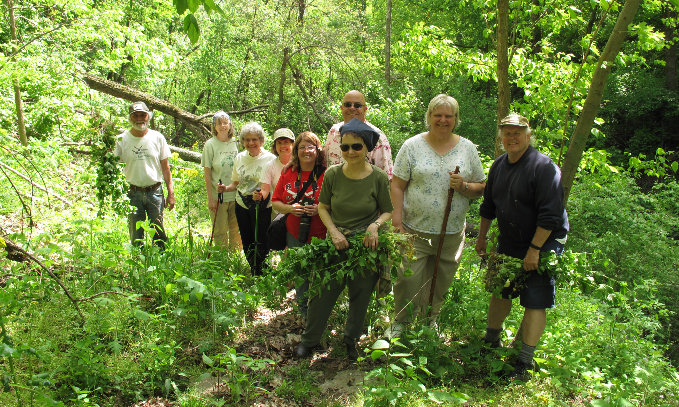 Kirby Nature Preserve Habitat Restoration   background image