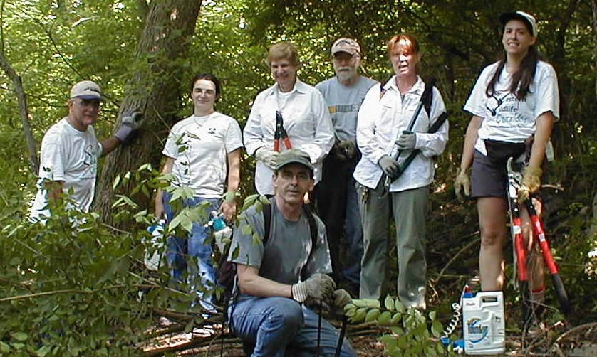 Whitetail Woods Habitat Restoration   background image