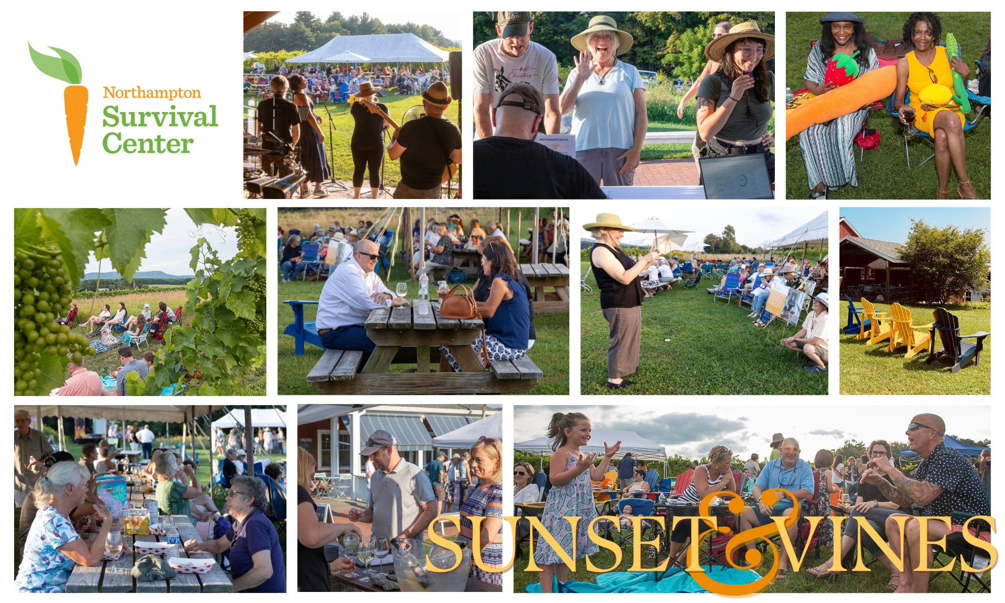 Sunset & Vines: A celebration of the Northampton Survival Center background image