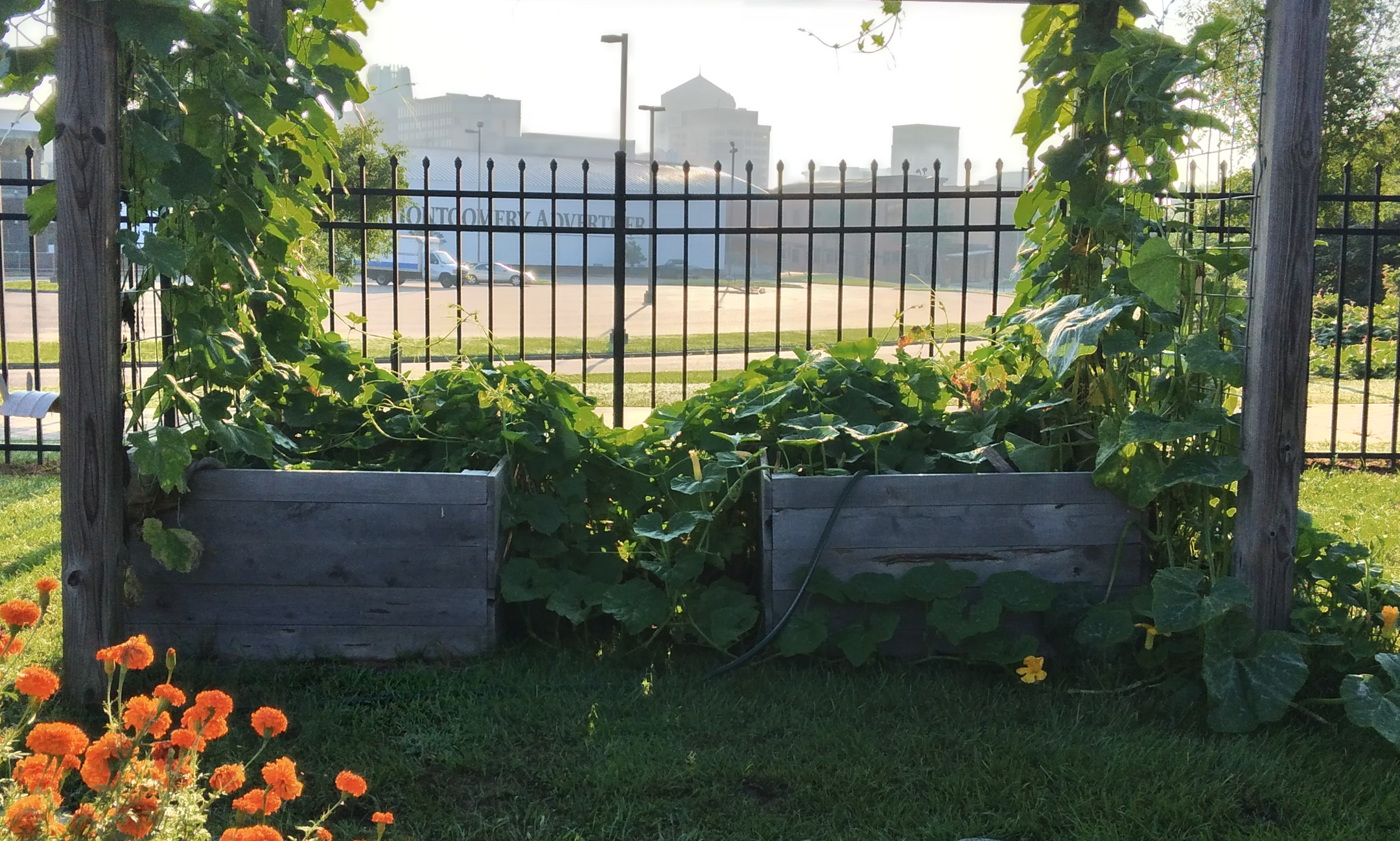 Vegetable Container Gardening with Master Gardener Glenn Huovinen (rescheduled) background image