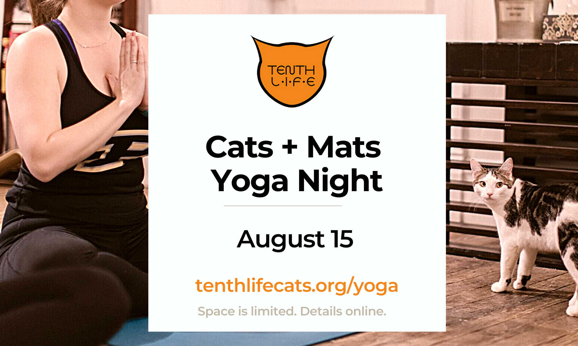 Cats N' Mats Yoga August 2022 by Tenth Life Cat Rescue