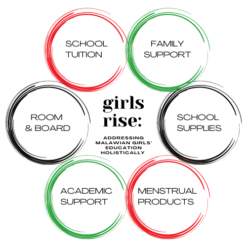 Girls Rise Book Donate Now | GIRLS RISE by Pamoza