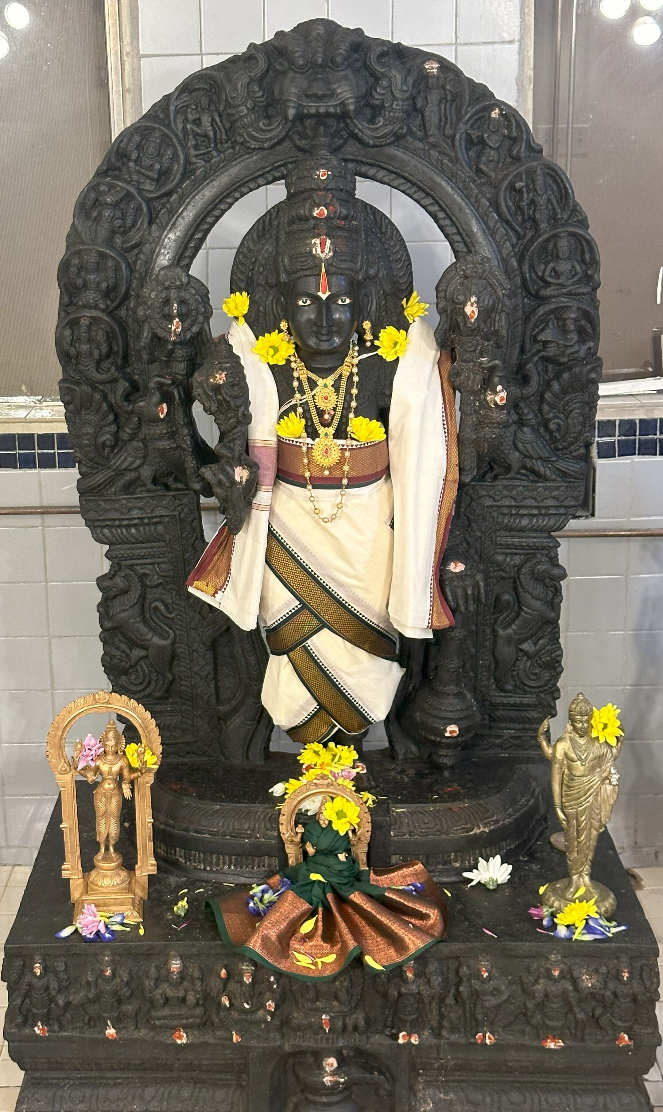 Chinmaya Sharadalaya - Chinmaya Mission San Antonio (CMSA) logo