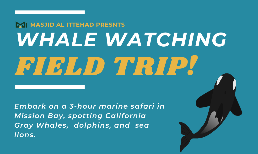 MI Whale Watching Field Trip 2026 background image