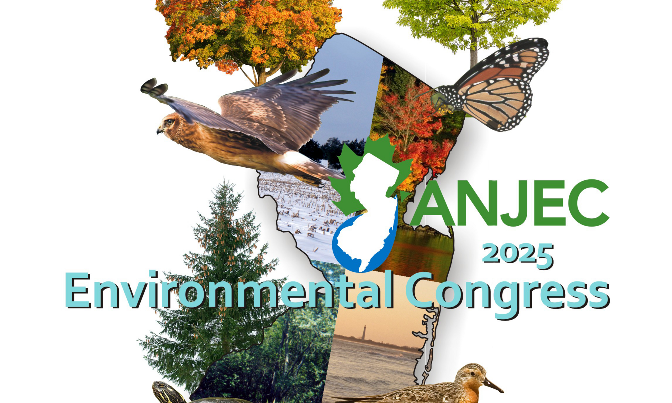 Congress 2025 background image