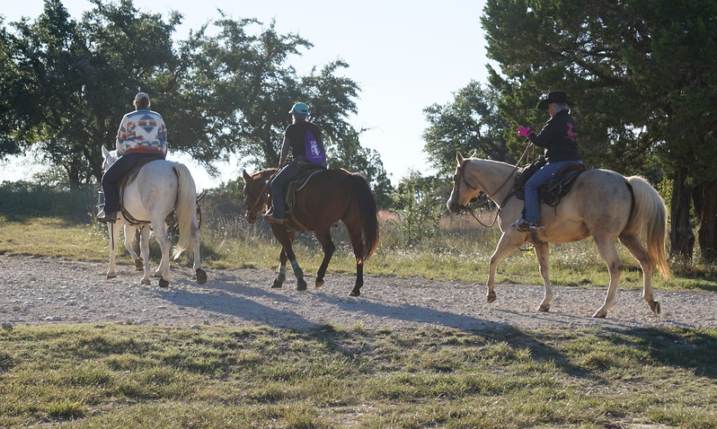 H.E.L.P.'s Scholarship Fund Trail Ride background image