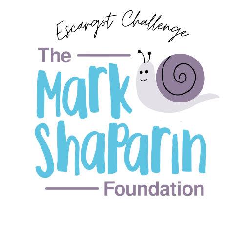 The Mark Shaparin Foundation logo