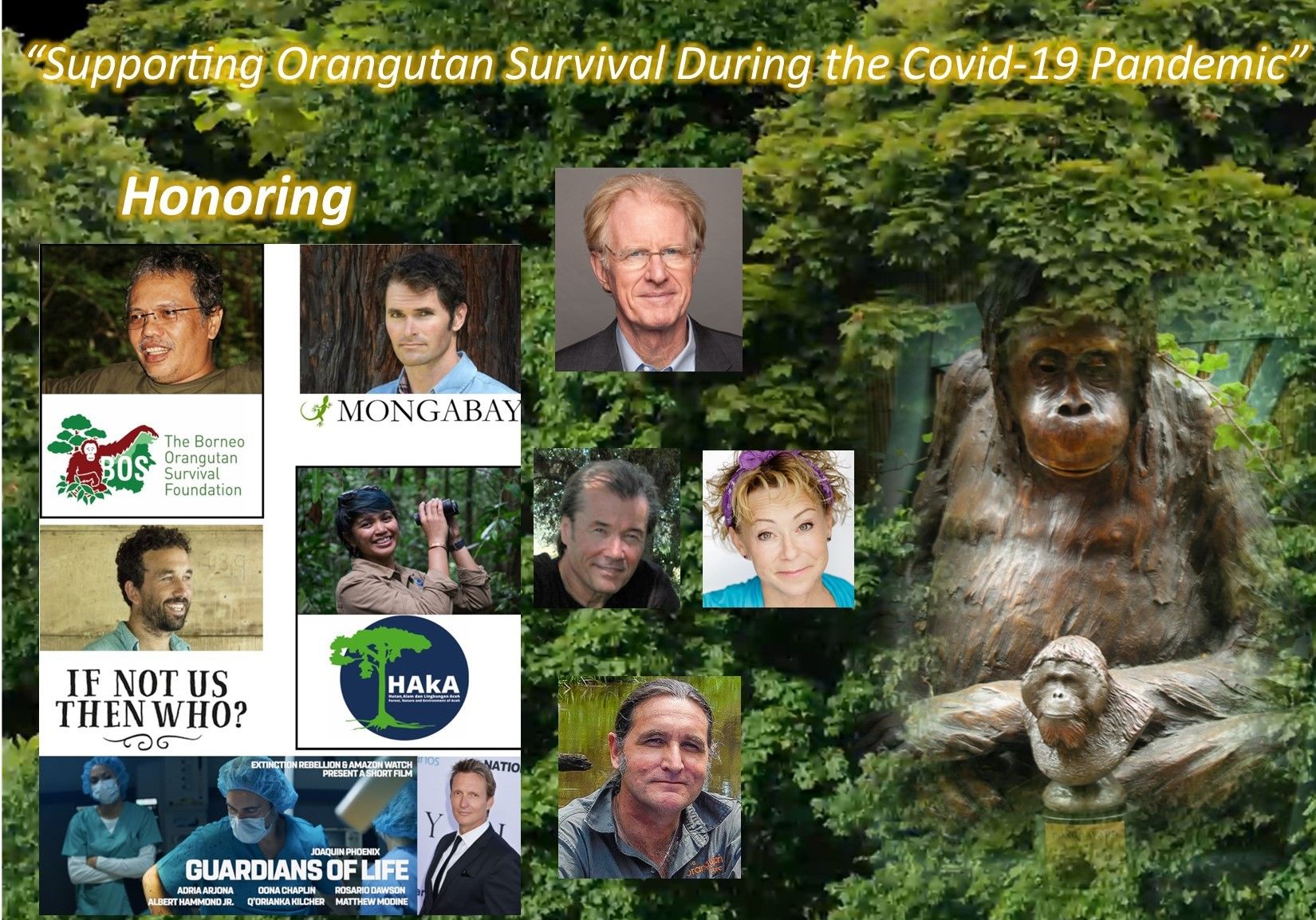 Orang Utan Republik Foundation Virtual Fundraiser & Pongo Environmental Awards 2020 background image