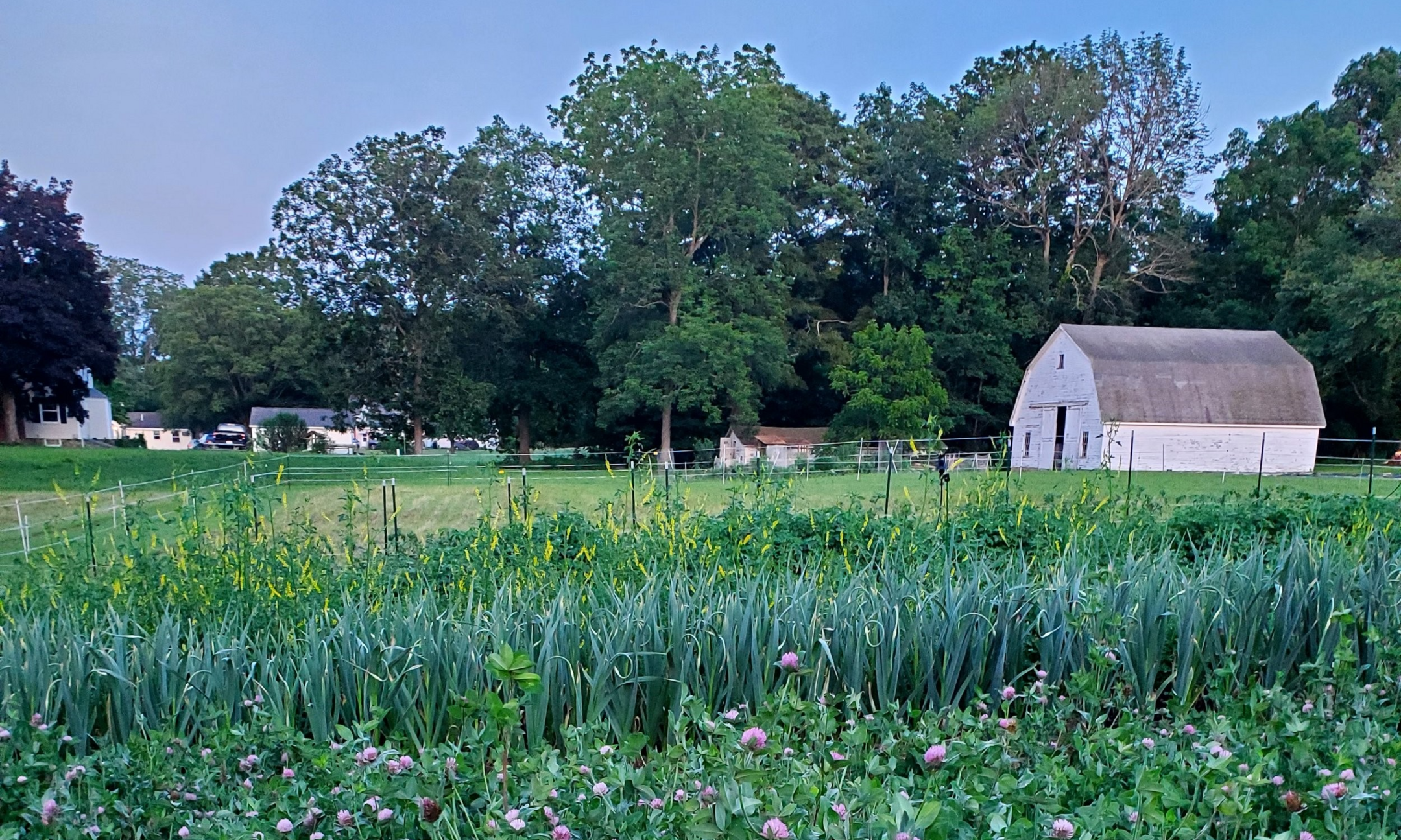 Rich and Organic Soils on your Small Farm background image