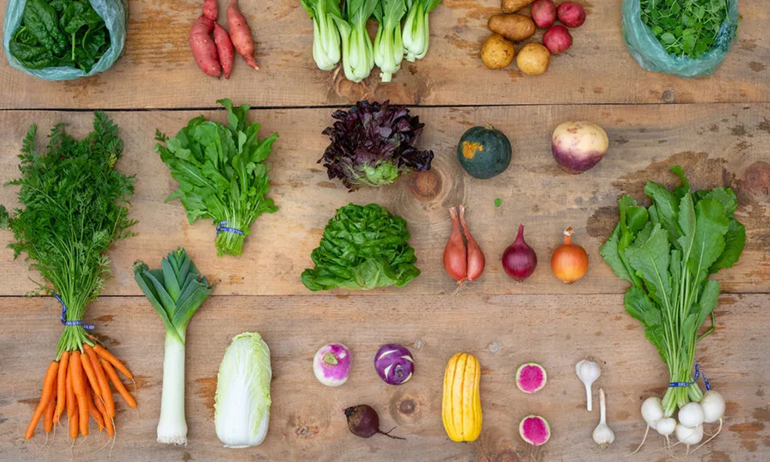 Scale & Strategy: Building a Viable, Healthy Farm background image