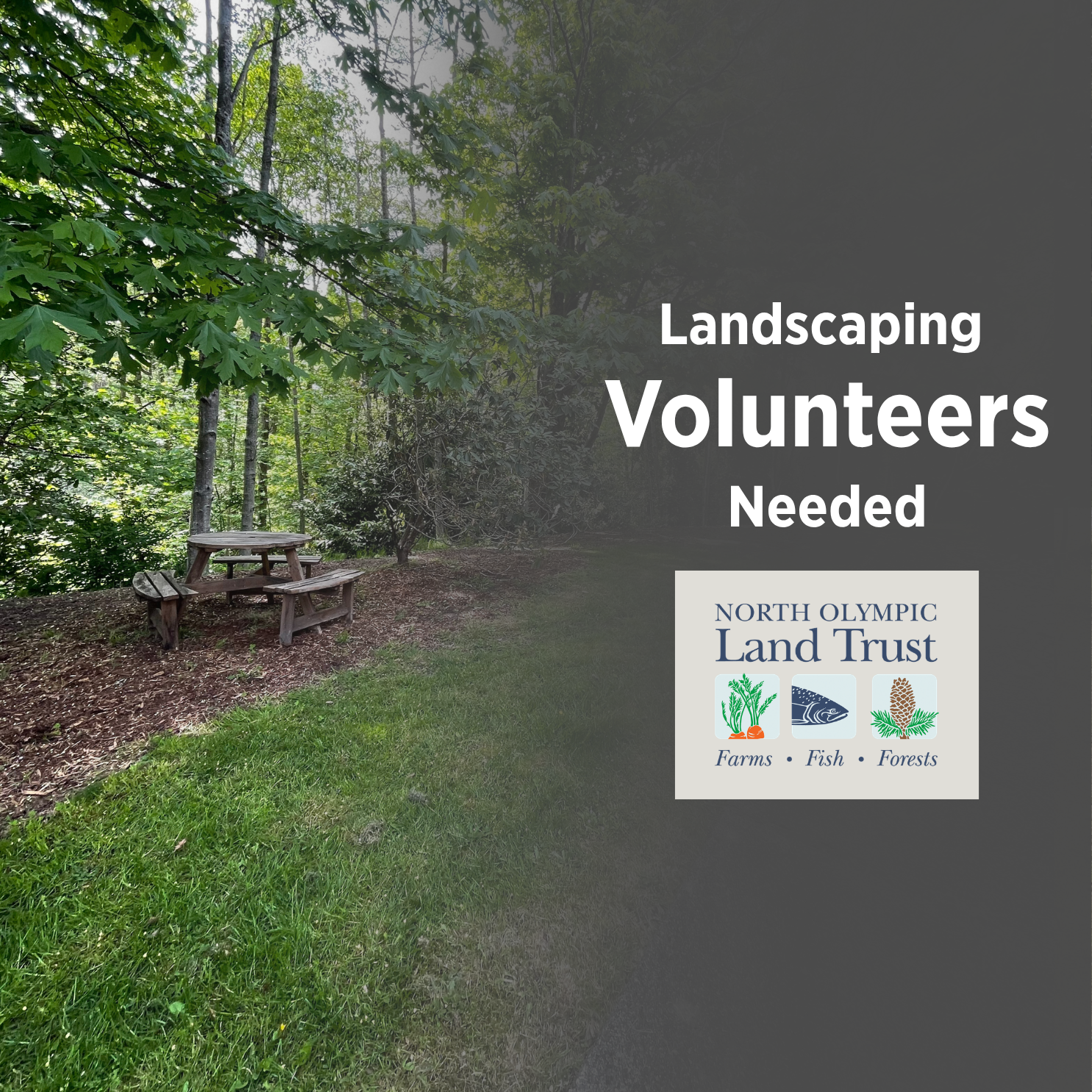 North Olympic Land Trust logo