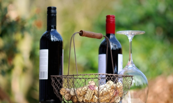 Savor the Garden: Wine & Walk background image