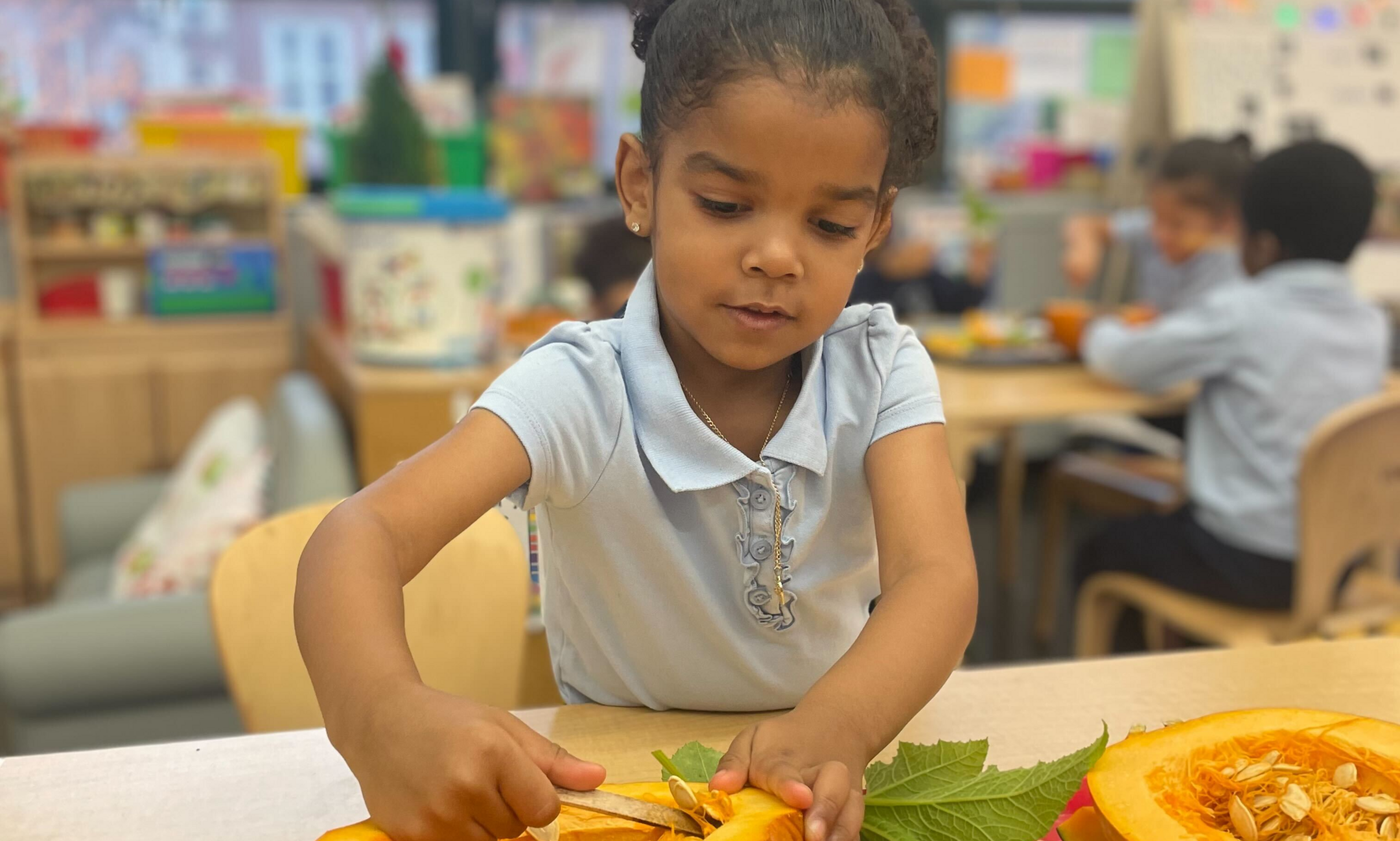 Workshop: Using Gardening and Growing Activities to Promote Imagination and Play background image