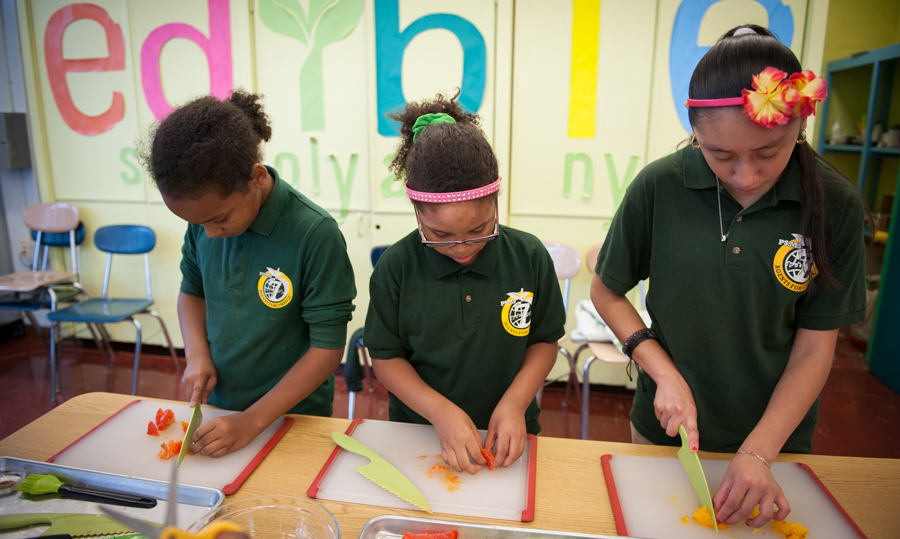 PD Workshop: Celebrating Latinx/Hispanic Culture through Cooking background image