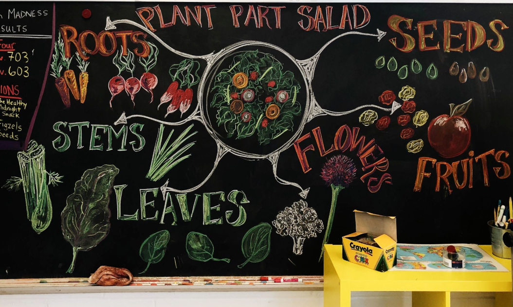 PD Workshop: Cooking and Eating to Save the Planet background image