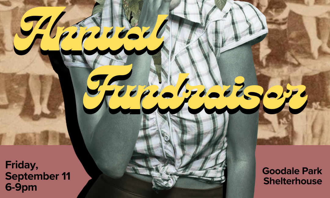 2026 Annual Fundraiser background image