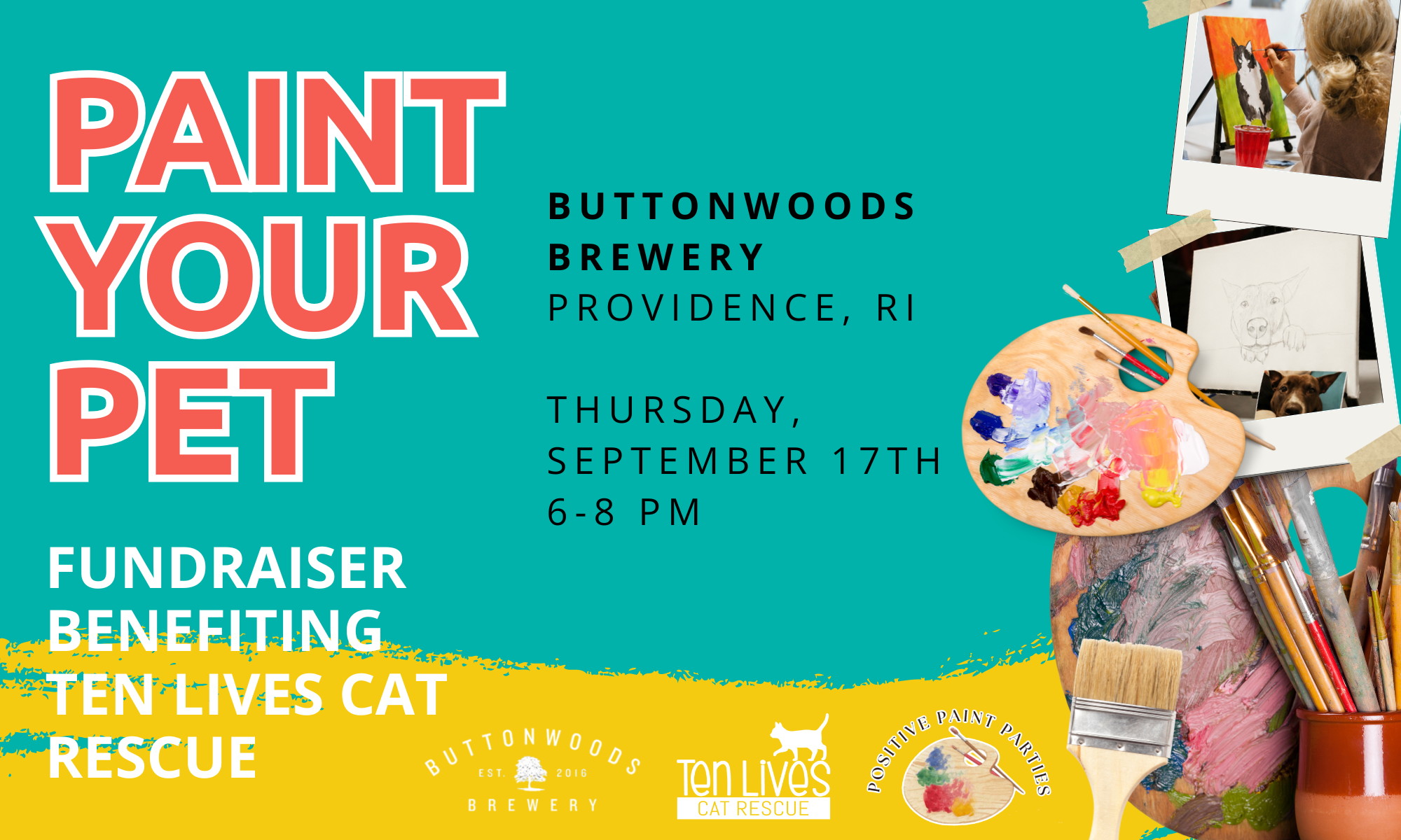 Paint Your Pet: A Community Cats Fundraiser background image