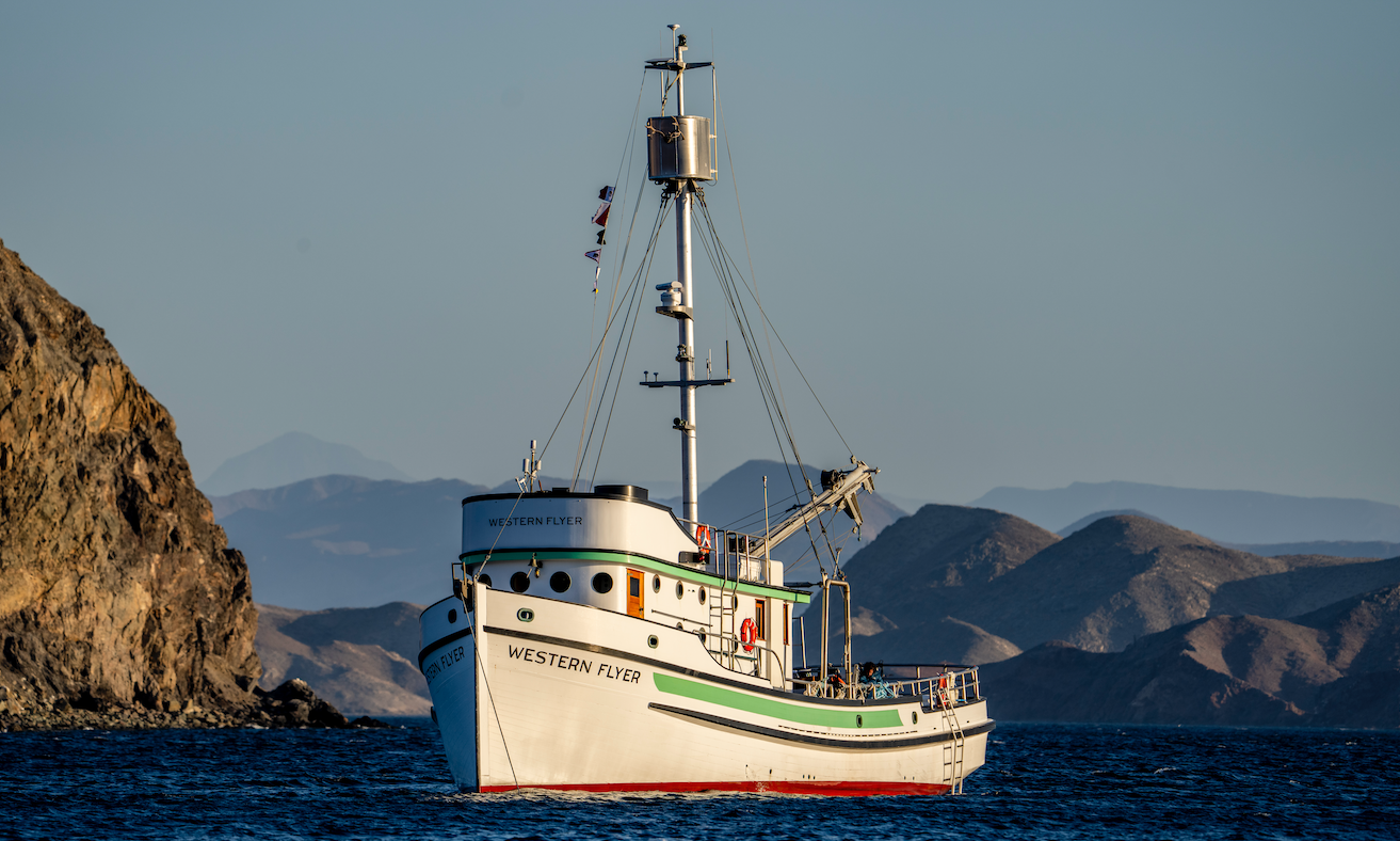 Between Pacific Tides: Science, Story, and the Western Flyer background image