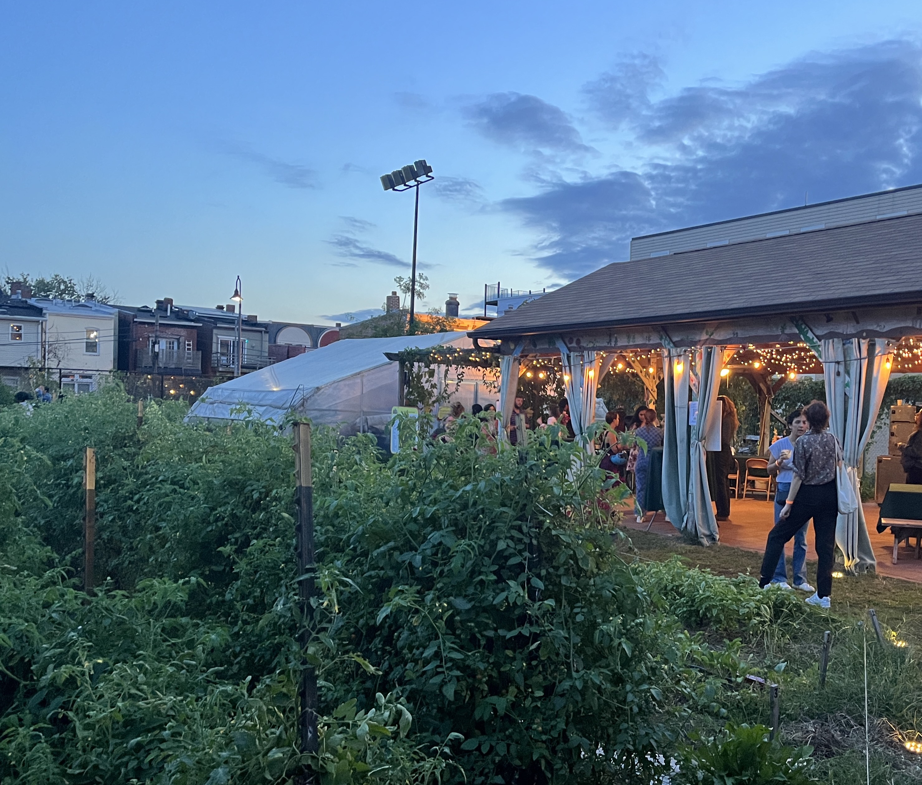 Donate Now | Pollinating Progress: Growing Food Equity in DC by Common ...