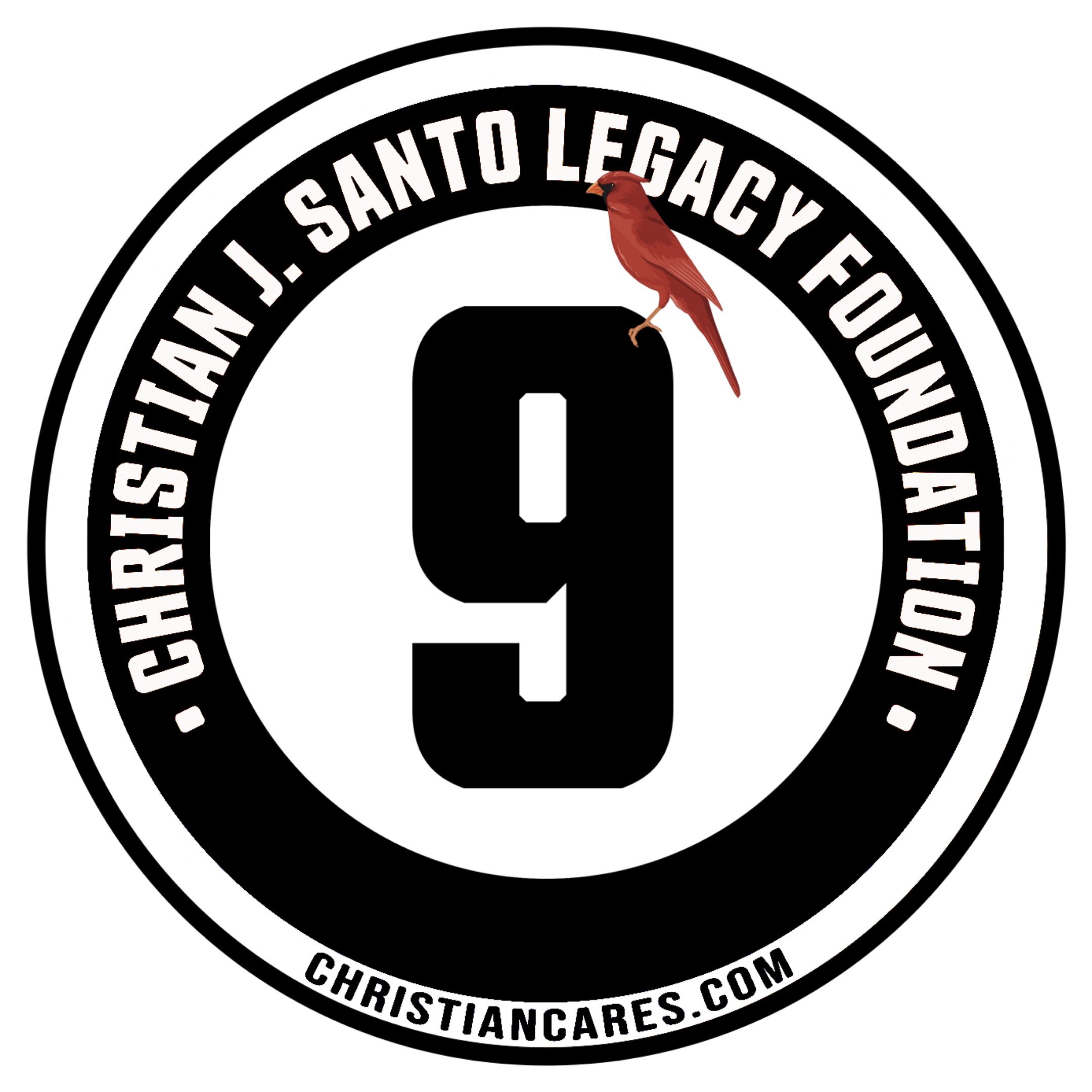 Christian J. Santo Legacy Foundation Inc logo