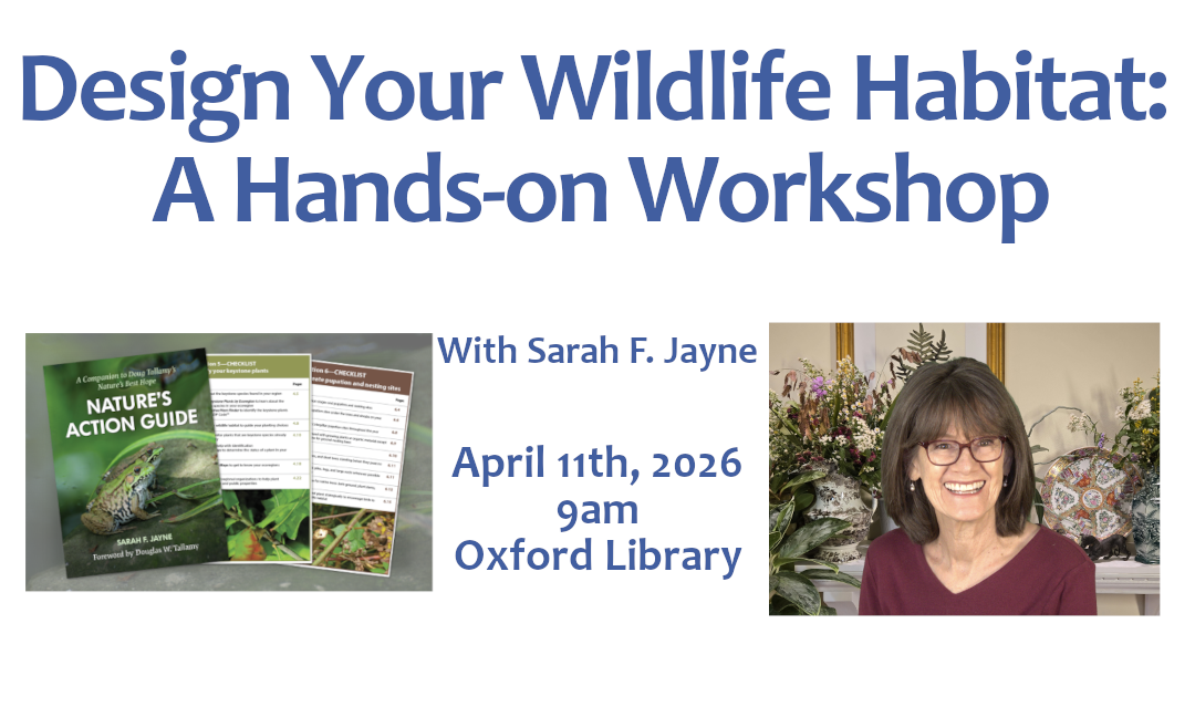 Design Your Wildlife Habitat: A Hands-on Workshop background image