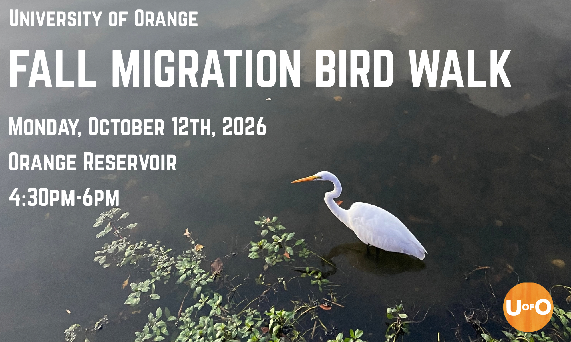 Fall Migration Bird Walk background image