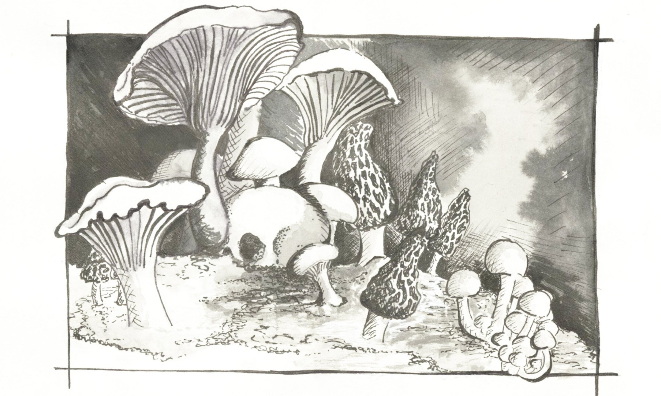 Mushroom Murders background image