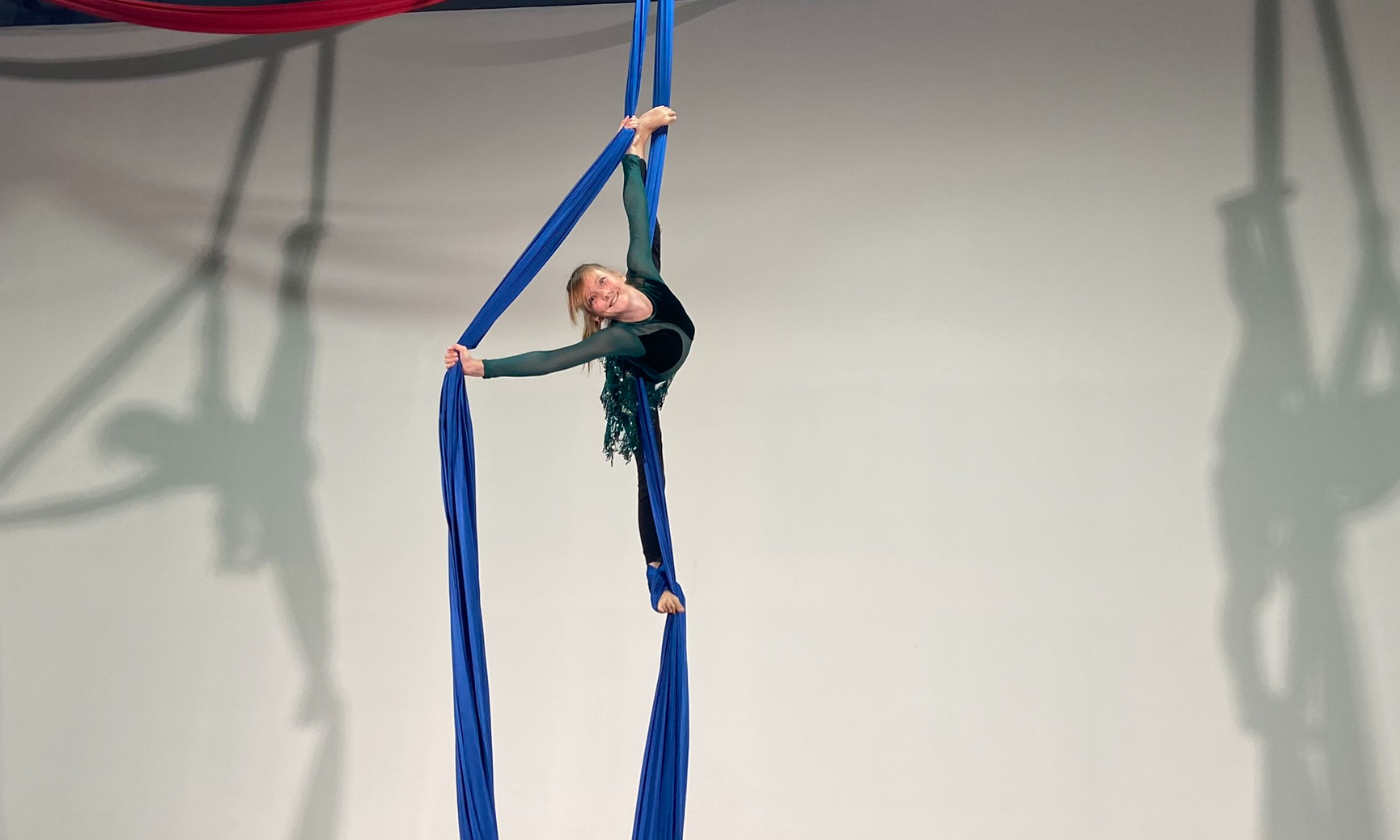 Aerialympics Showcase: A Fundraiser for Empowered Movement Aerial  background image