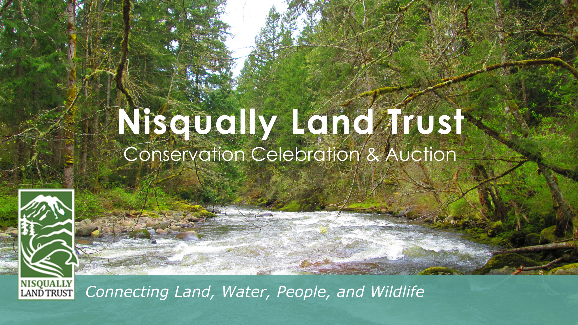 2021 Virtual Conservation Celebration and Auction background image