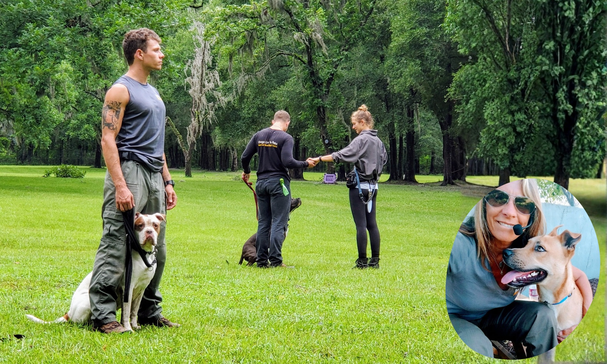 DPFL's Stranger Danger Workshop background image