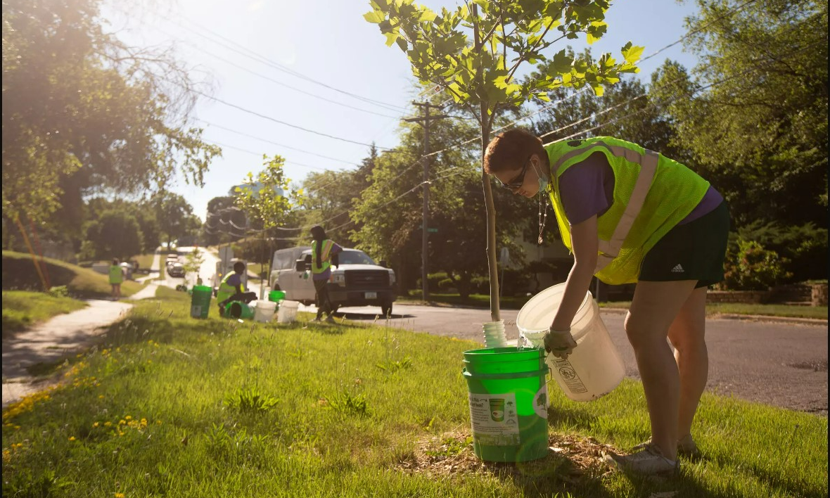 Donate Now Growing Futures Cedar Rapids by Trees Forever