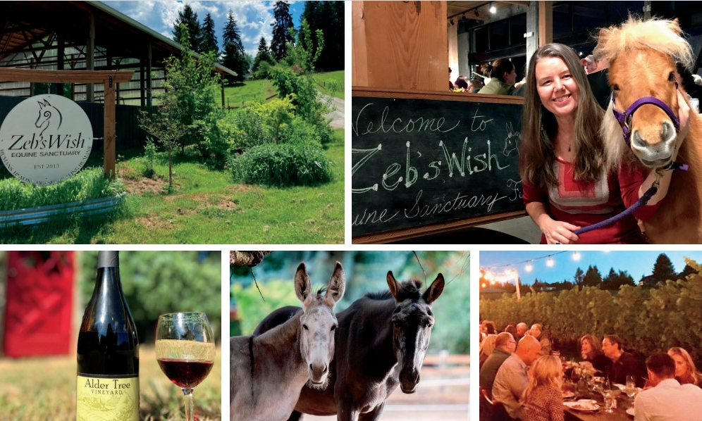 Zeb's Wish Annual Celebration! SOLD OUT!  We are so sorry we are not going to see you!   You can still participate in the online auction or make a flat donation to support us.    background image