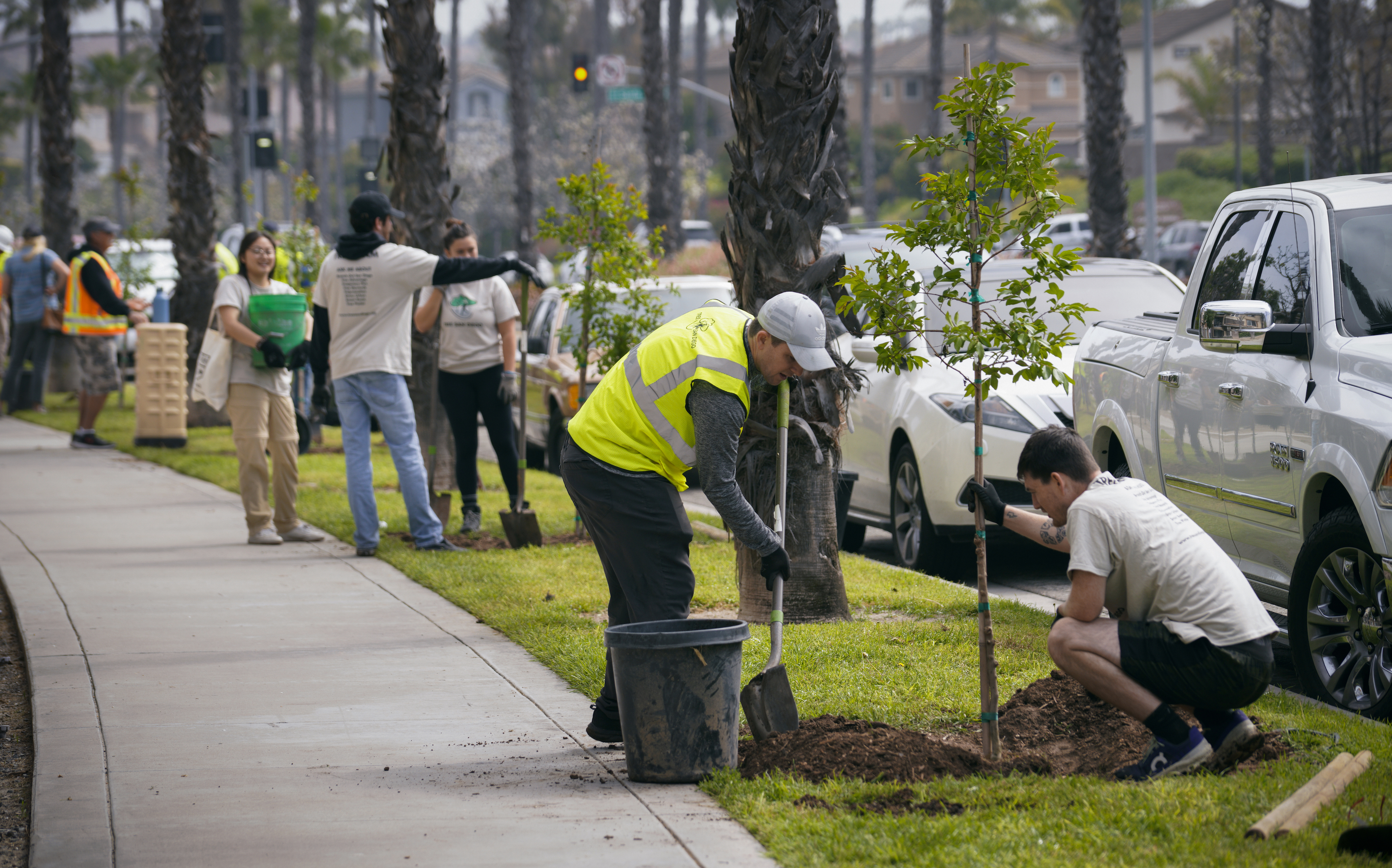 Donate Now Help Tree San Diego Plant The Next 5 000 Trees By Tree