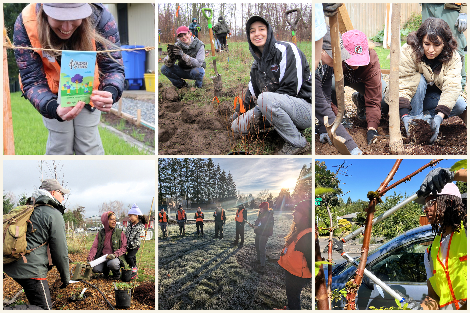 Donate Now - Give Lively - Friends of Trees