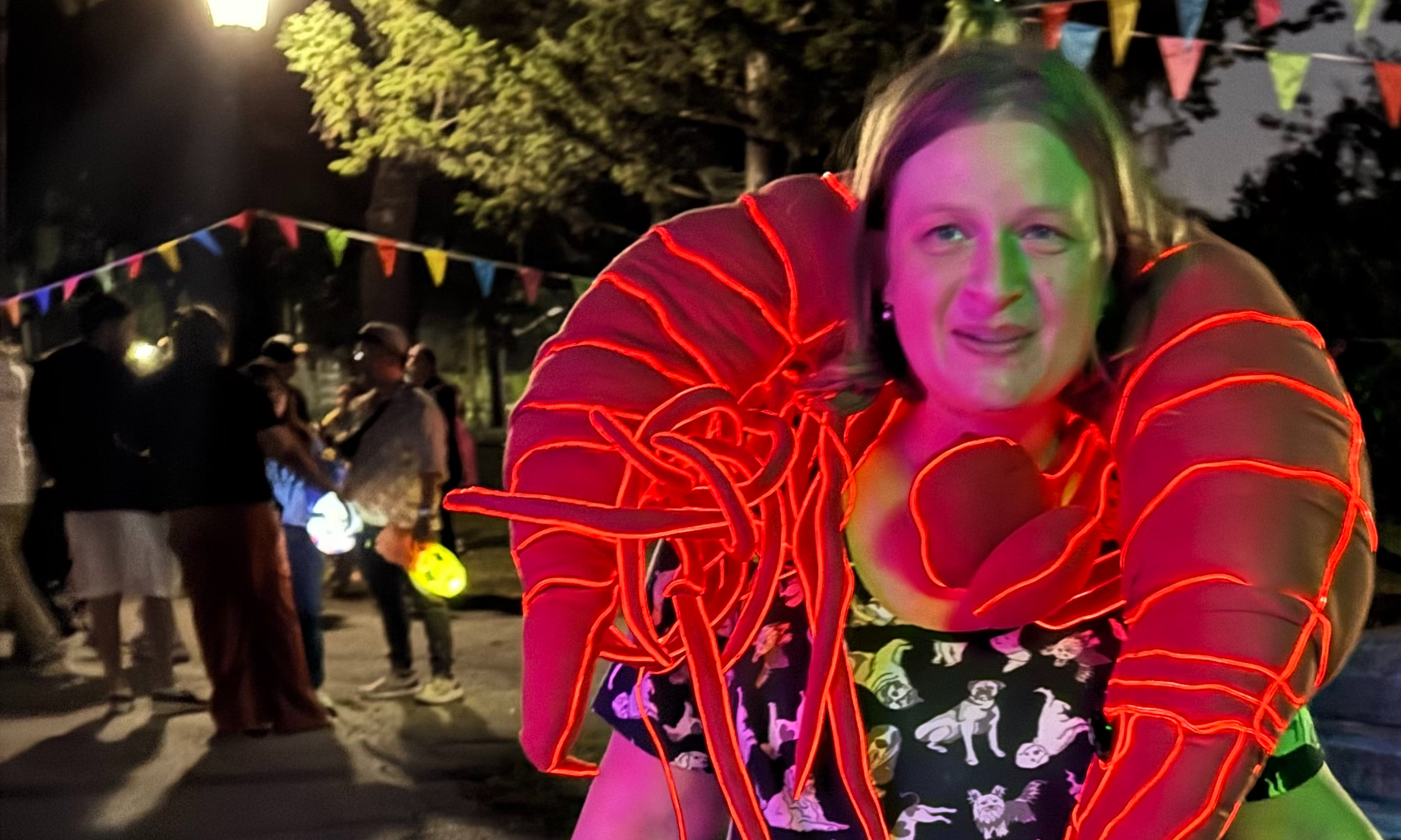 Illuminated Wearables Workshop with Carolyn Kassnoff background image